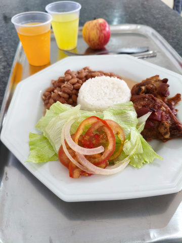 Alimentação - foto 101