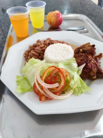 Alimentação - foto 101